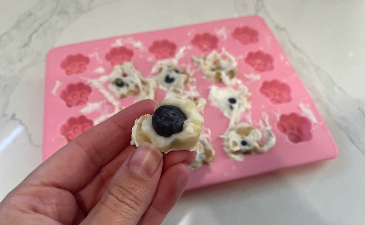 Frozen dog treats with peanut butter banana and yogurt.