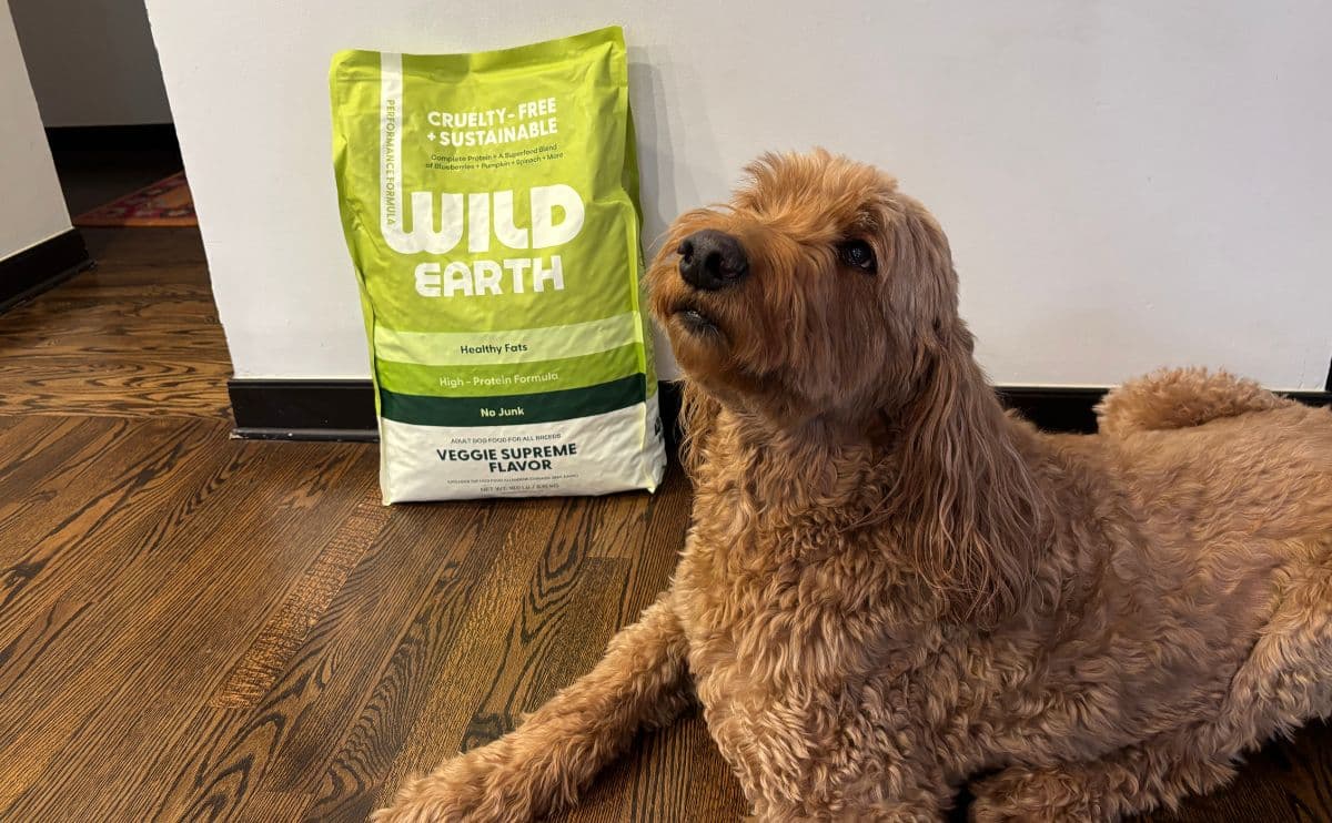 Gary the Goldendoodle with bag of Wild Earth Dog food.