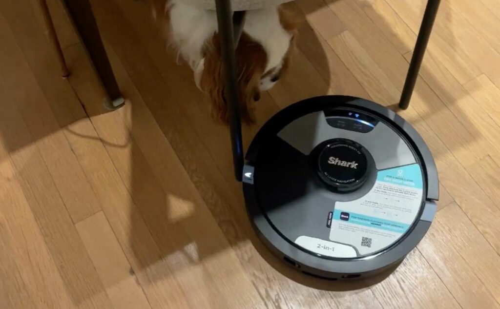 Georgie and shark matrix robot vacuum.