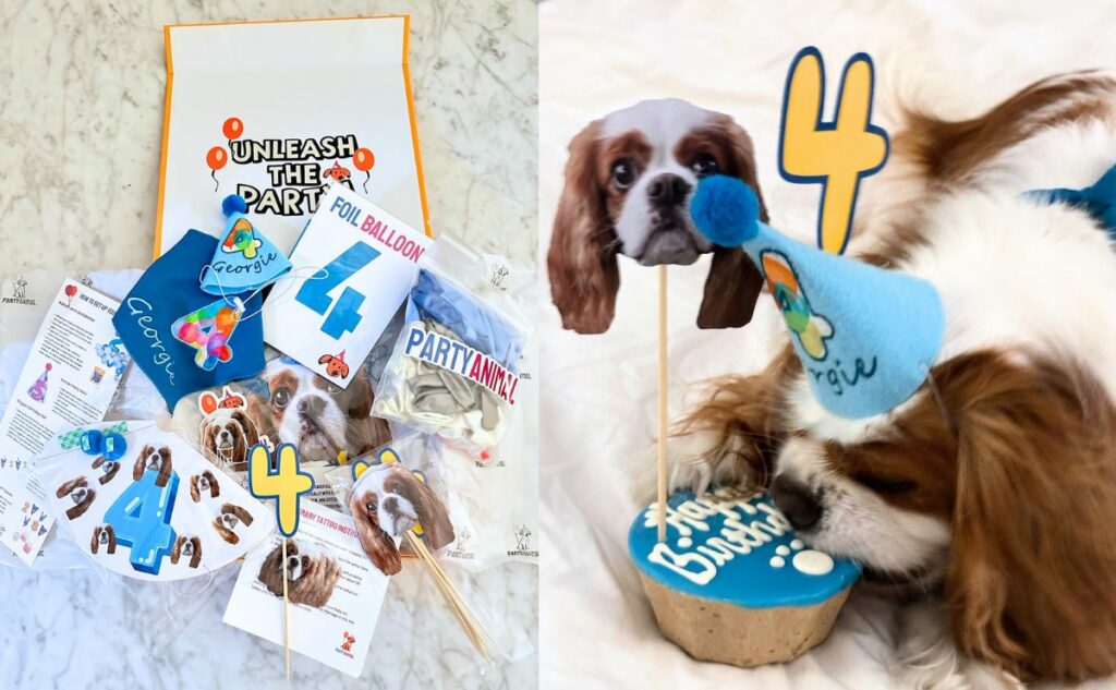 Georgie Cavalier with party animal party pack for fourth birthday.