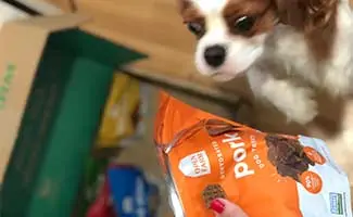 Georgie the cav looking at box of Open Farm dog treats