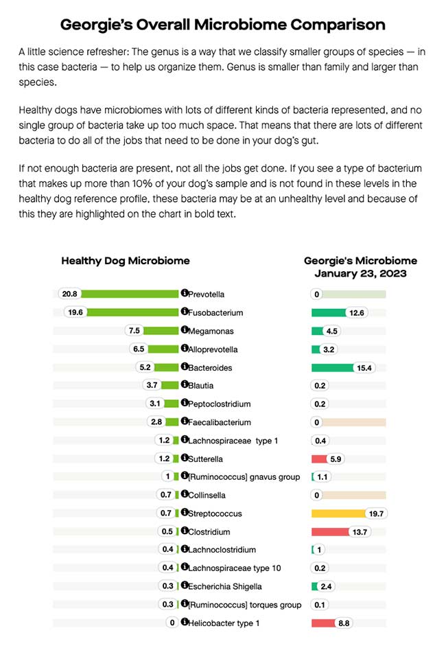 Screenshot of Embark's gut health test results