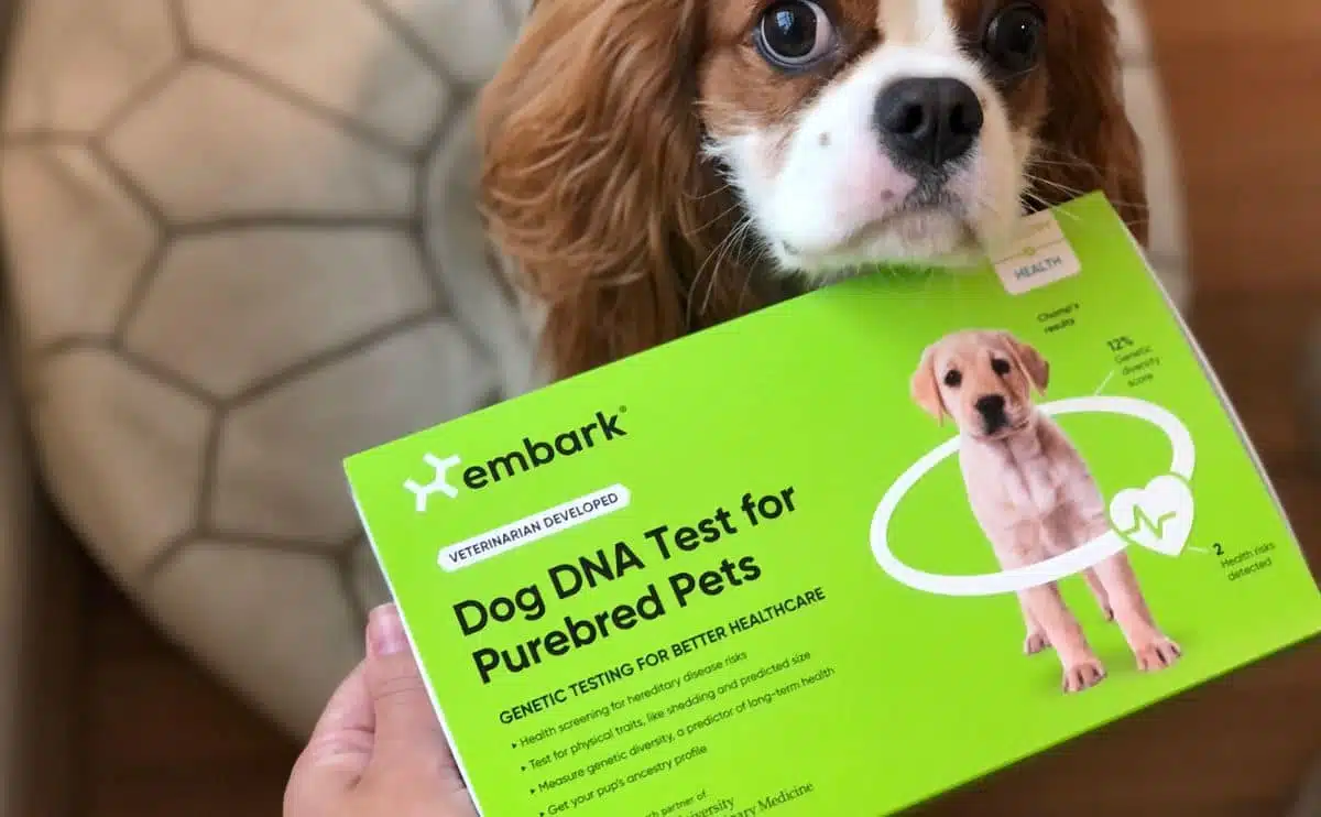 Embark dog deals dna reviews