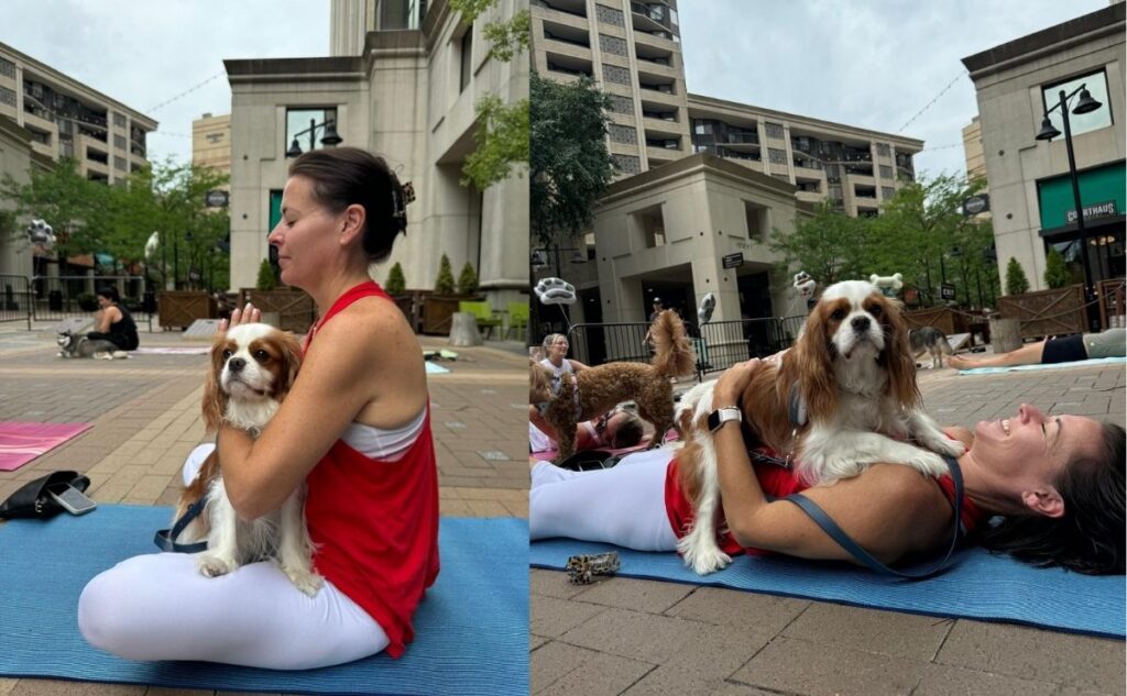 Girl doing dog yoga with her cavalier dog.