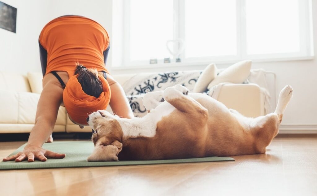 Girl doing down dog yoga pose with dog.