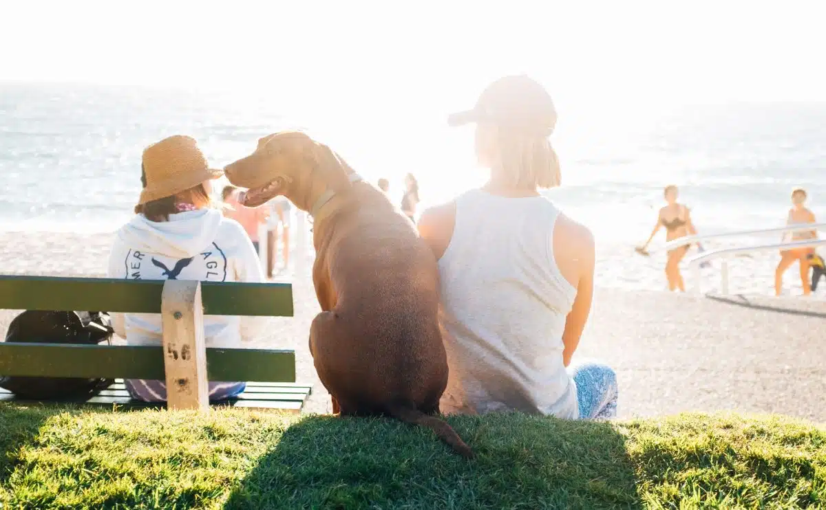 girl sitting on a park bench with her dog on a summer day near the water