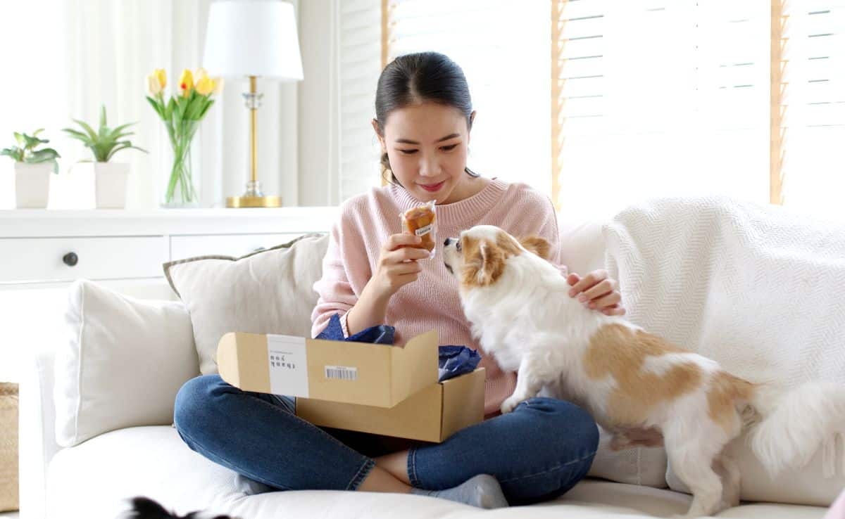 girl sitting on sofa at home in living room unboxing dog food and snacks with dog in her lap