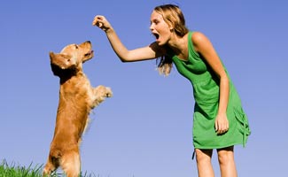 is obedience training good for a dog