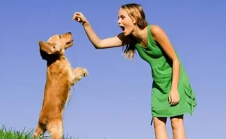 Girl with Dog Jumping