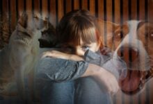 Girl with images of dogs overlay.