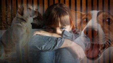 Girl with images of dogs overlay.