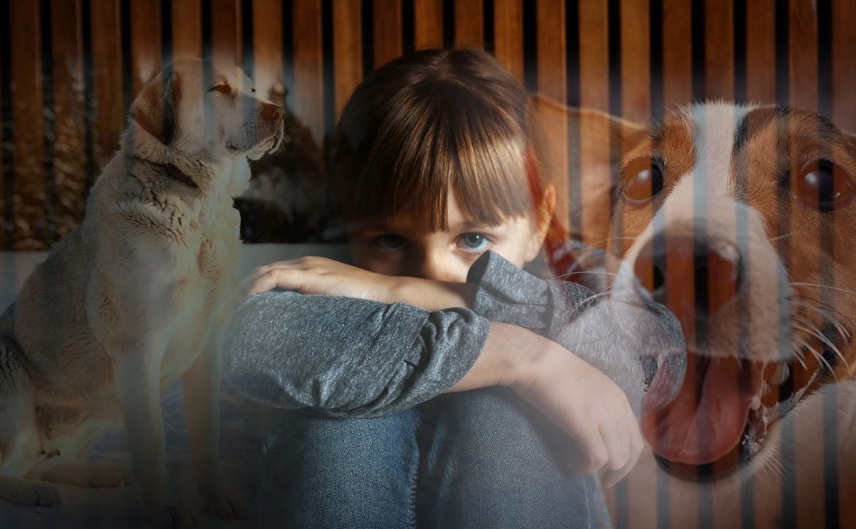 The Psychology Behind Not Liking Dogs &amp; Why Some Believe Dog Culture Has Gone Wild