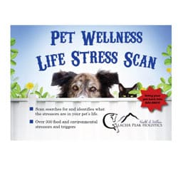 Glacier Peak Holistics Pet Wellness Life Stress Scan box