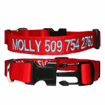 GoTags Nylon Personalized Dog Collar