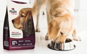 Nulo Dog Food Reviews: Low-Glycemic, High-Protein Options - Canine Journal