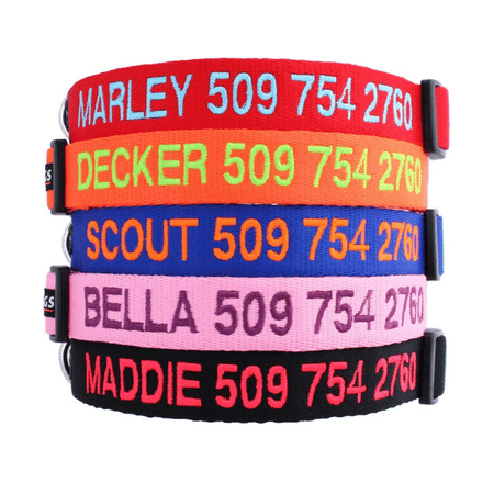 GoTags Nylon Personalized Dog Collars