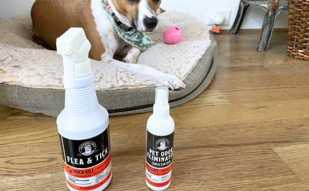 Grandpa Gus sprays with dog laying next to them.