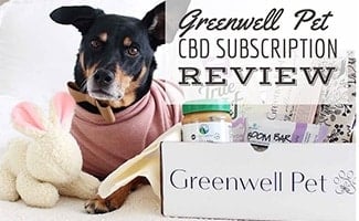 Dog next to Greenwell Pet CBD Box (caption: Greenwell Pet Review)