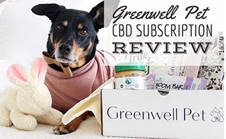 Dog next to Greenwell Pet CBD Box (caption: Greenwell Pet Review)