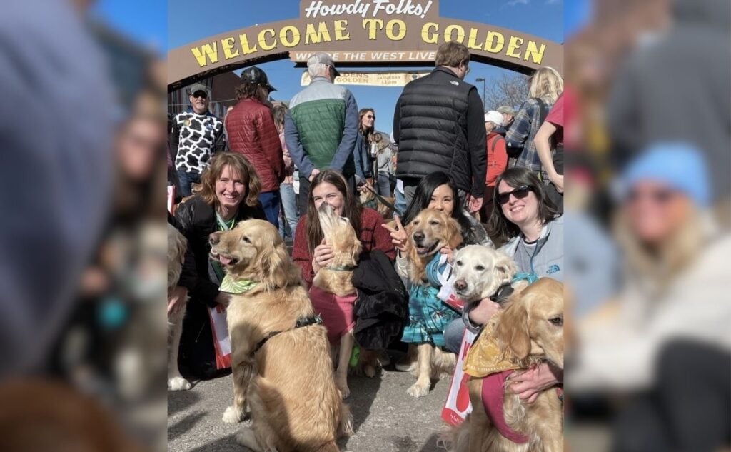 Group photo of Goldens with owners in Golden, CO.