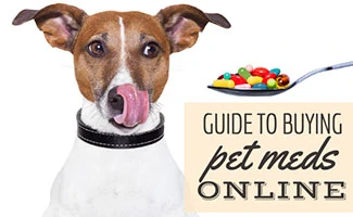 Dog with spoon full of pills (Caption: Guide to Buying Pet Meds Online)