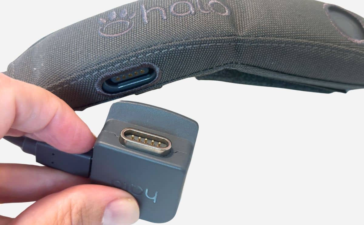 halo collar 4 charger jpg