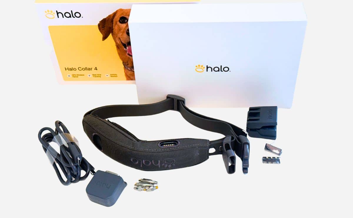 Halo Collar 4 box and contents.