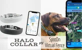 Halo Collar vs SpotOn Virtual Fence next to each other with dog (Caption: Halo Collar vs SpotOn Virtual Fence)