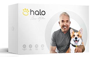 Halo Collar Package