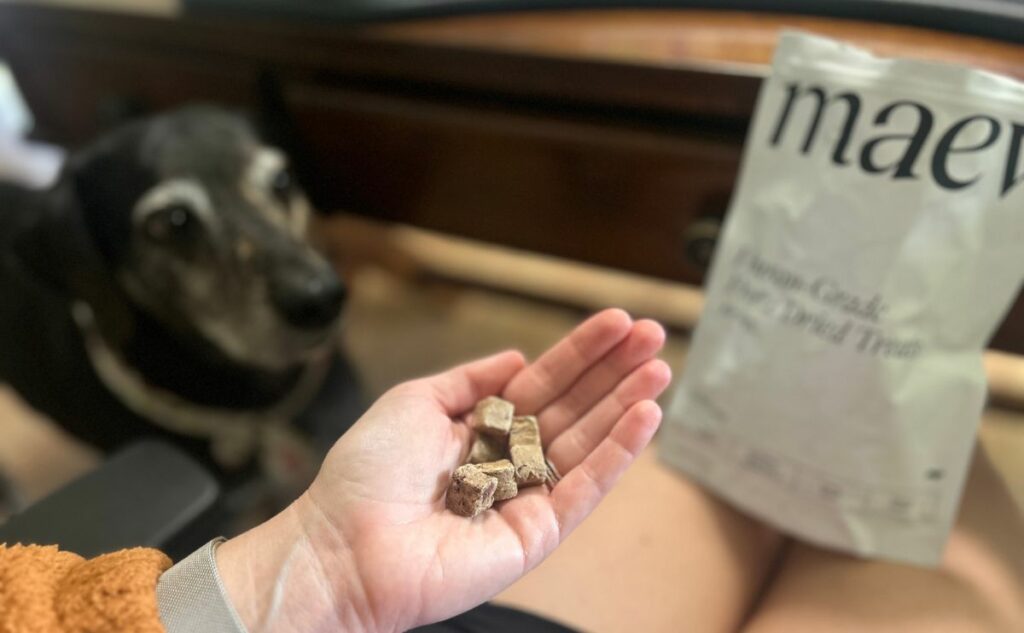 Hand holding Maev dog treats in front of bag and dog.