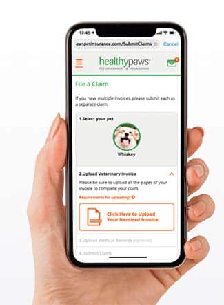 Healthy Paws app on iPhone