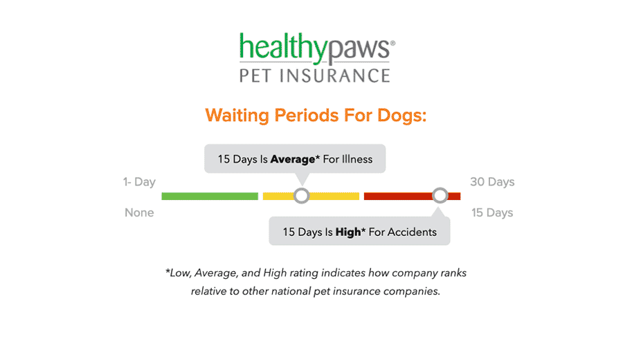 Healthy Paws Pet Insurance Reviews Customer Service, Coverage, Waiting