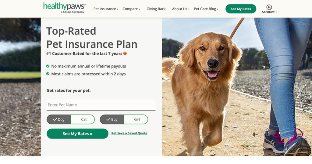 Healthy Paws quote form gender of dog or cat.