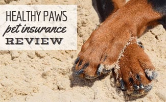 Healthy Paws Reviews Read Customer Service Reviews Of Healthypaws Co Uk