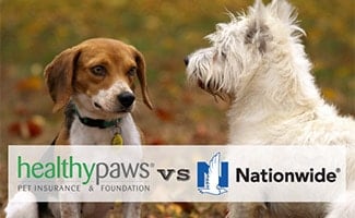 Two dogs looking at each other (caption: Healthy Paws vs Nationwide)