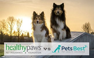 Two dogs sitting in sunset (caption: Healthy Paws vs Pets Best logos)