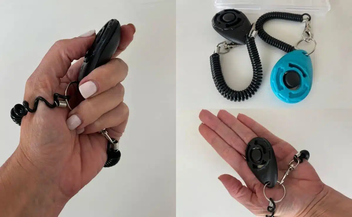 3 Best Dog Training Clickers (11+ Tested & Reviewed!) - Dog Lab