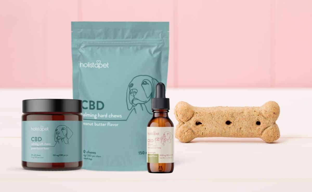 holistapet cbd pet products with a bone on a pink background