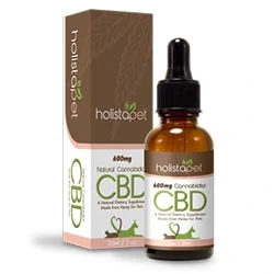 Best Cbd Oil For Dogs An All Natural Way To Ease Anxiety And Pain