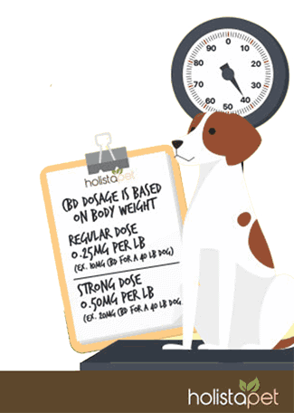 HolistaPet CBD Dosage Guidelines