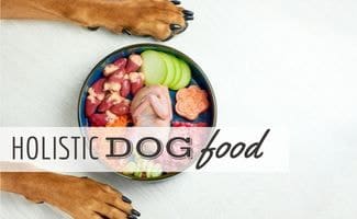 Natural raw organic dog meat food in bowl and dogs paws (Caption: Holistic Dog Food)