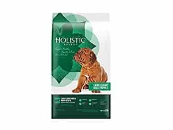 Holistic Select Natural Puppy
