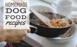 homemade wet food for dogs