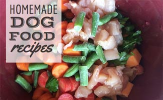 Bowl of homemade dog food vegetables (caption: homemade dog food recipes)