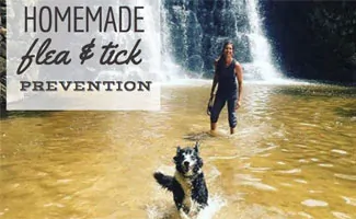 Izzee and dog mom in water (Caption: Homemade Flea & Tick Prevention)