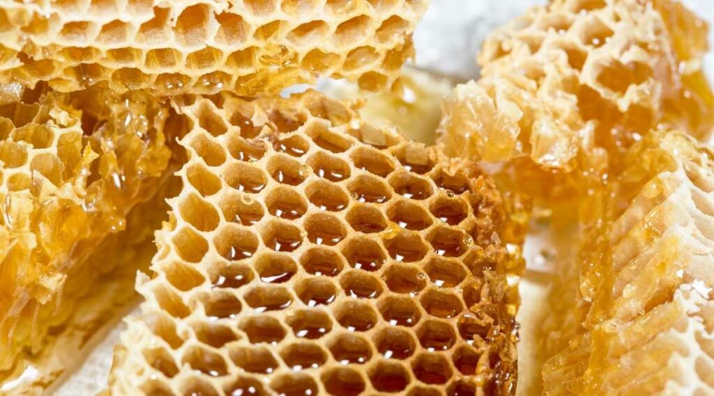 Honeycomb up close.
