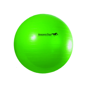 Horsemen's Pride herding ball.