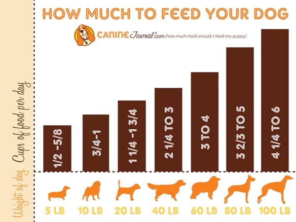 Puppy Feeding Chart By Weight