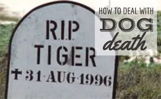 Dog grave (caption: How To Deal With Dog Death)