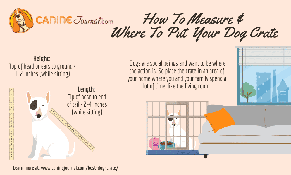 How To Measure & Where To Put Your Dog Crate Infographic